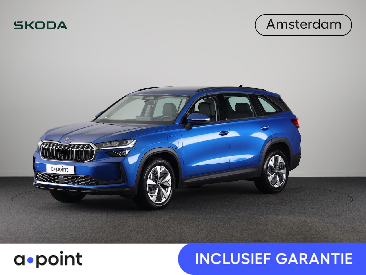 Skoda Kodiaq - 1.5 TSI PHEV Business Edition 204pk | Light en View Pakket | Navigatie | Lederen bekleding - AutoWereld.nl