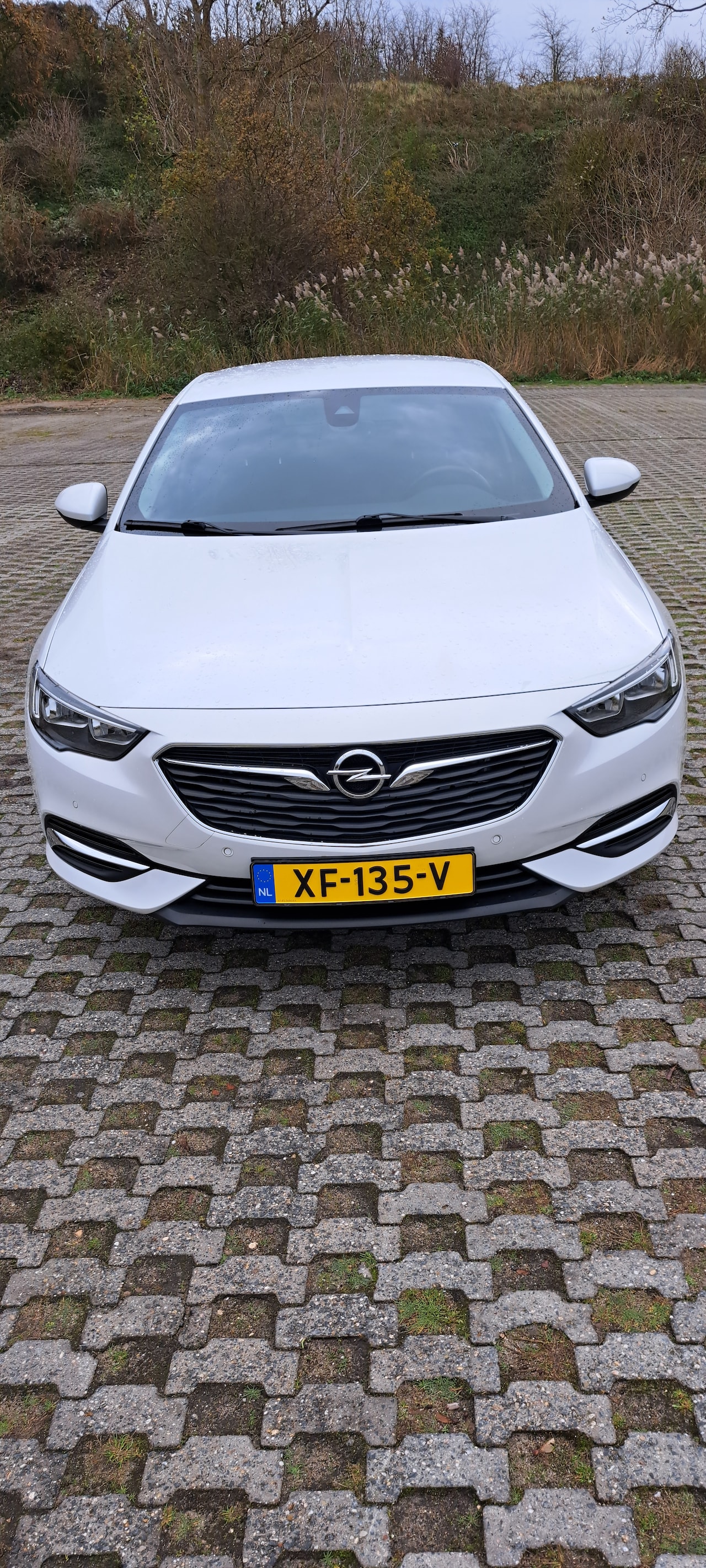 Opel Insignia Grand Sport - 1.6 Turbo Business Executive opel insignia 1.6 turbo 200pk leder/18 inch lmv/winter pakket /pvt glass/ - AutoWereld.nl