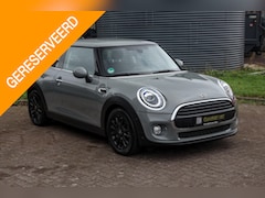 MINI One - 1.5 Pepper PDC|Stoelverwarming|LED|Pepper|