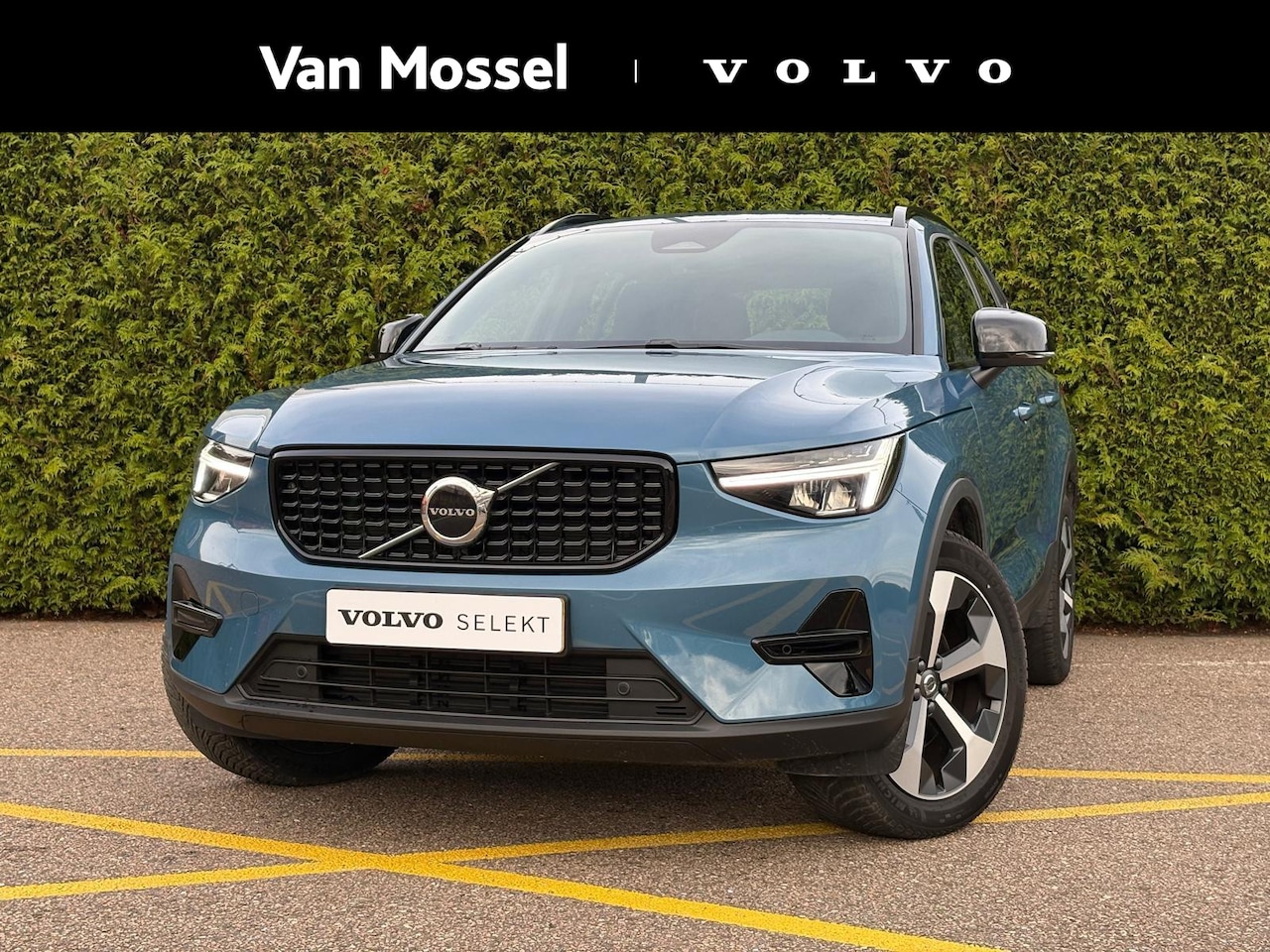 Volvo XC40 - 2.0 B4 Plus Dark | Elektrische stoelverstelling | Trekhaak | Harman/Kardon | - AutoWereld.nl
