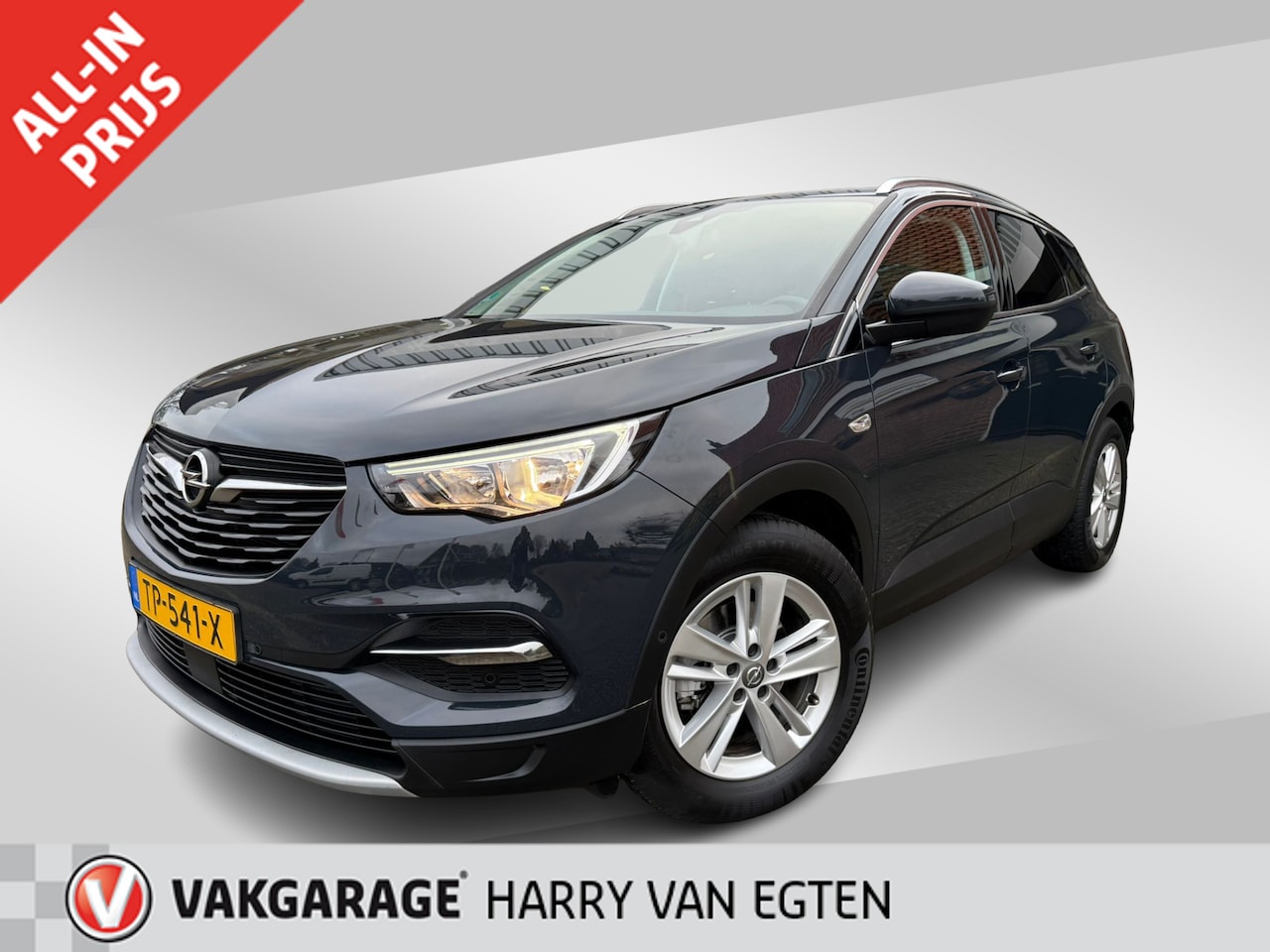 Opel Grandland X - 1.2 Turbo Business Executive | Navi | ECC | Cruise | Trekhaak | El. klep | AGR | - AutoWereld.nl