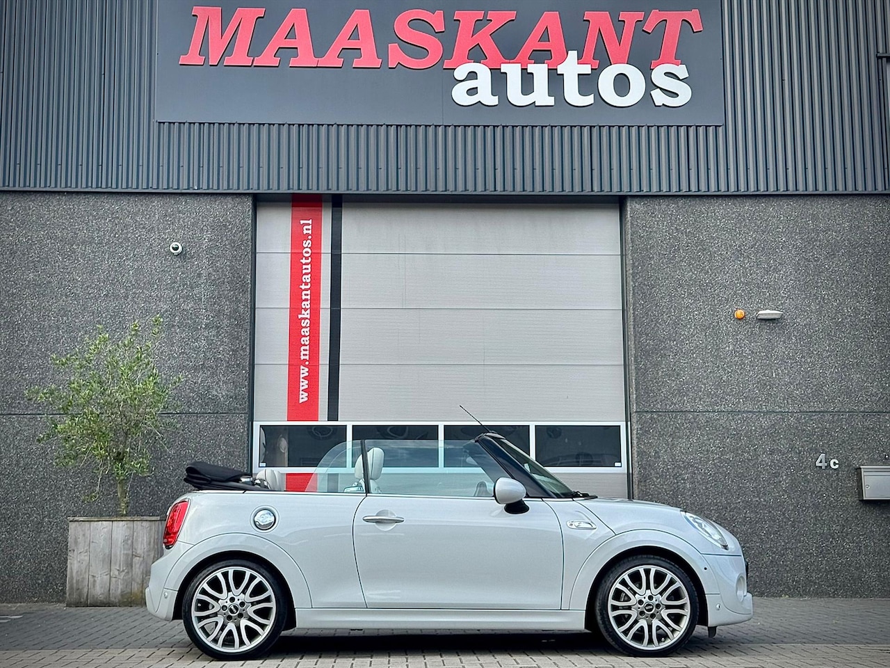 MINI Cabrio - Mini Cooper S 2.0 / Chili / White silver / Adaptive cruise / Harman Kardon / Hud / Leder / - AutoWereld.nl