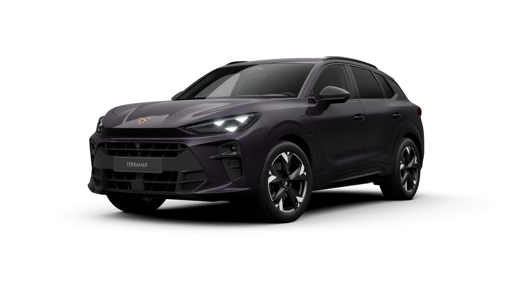 CUPRA Terramar - 1.5 TSI e-Hybrid Business 1.5 TSI e-Hybrid 204pk Business - AutoWereld.nl