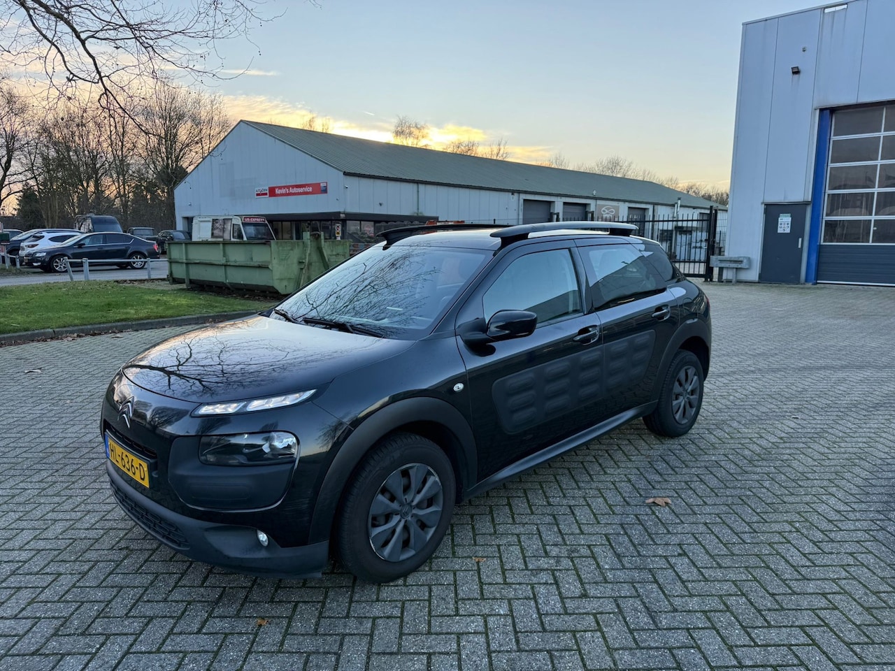 Citroën C4 Cactus - 1.6 BlueHDi Business pano - AutoWereld.nl