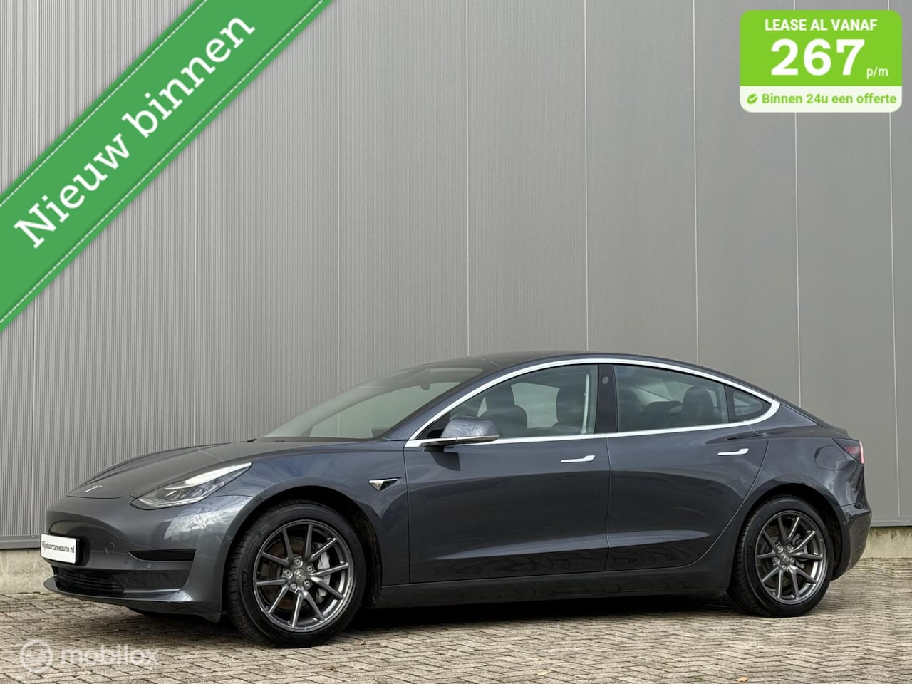 Tesla Model 3 - Standard Range, Trekhaak, 85 % SOH , 1ste eig - AutoWereld.nl