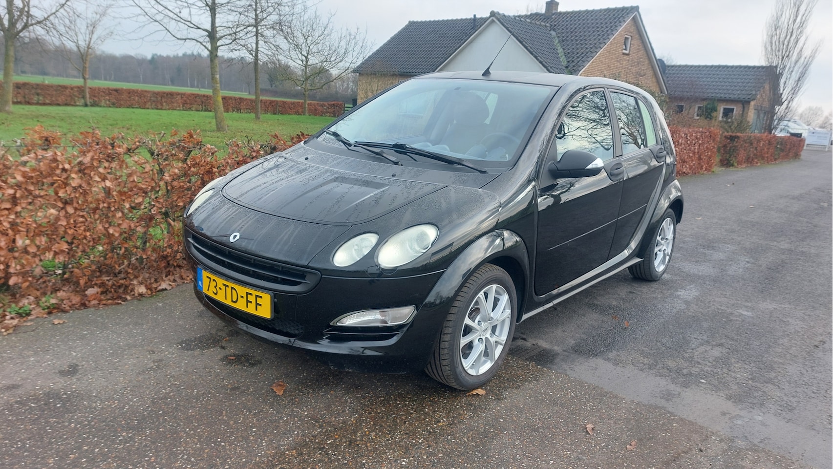 Smart Forfour - 1.0 Spring Edition III BJ 2006 - AutoWereld.nl