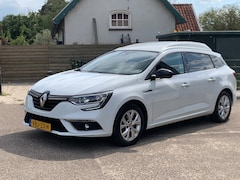 Renault Mégane Estate - MEGANE VAN DCI BPM VRIJ VOLLEDIG BTW IN NIEUWSTAAT