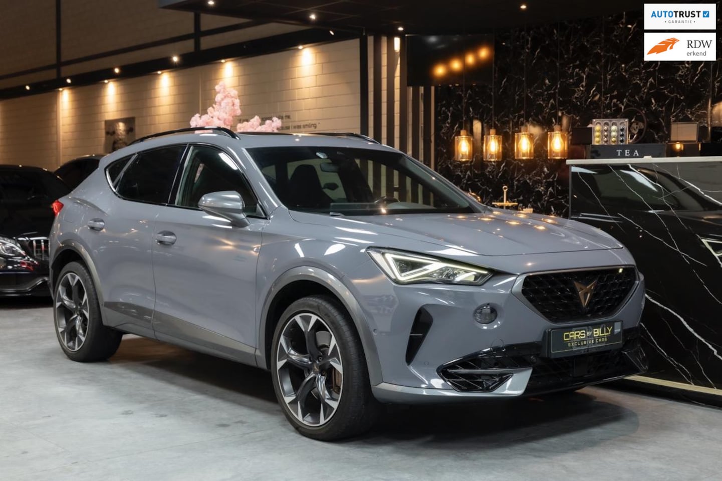 CUPRA Formentor - 2.0 TSI 4DRIVE|PANO|LEDER|CLIMATE|NAVI - AutoWereld.nl