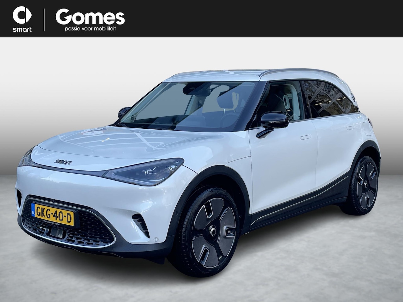 Smart #1 - Premium 66 kWh | Adaptive cruise control | Panoramadak | Elektrische stoelen | Head-up dis - AutoWereld.nl