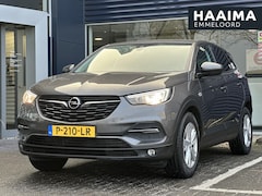Opel Grandland X - 1.2 Turbo Business Executive | Parkeersensoren | Apple Carplay/Android Auto | Climate Cont