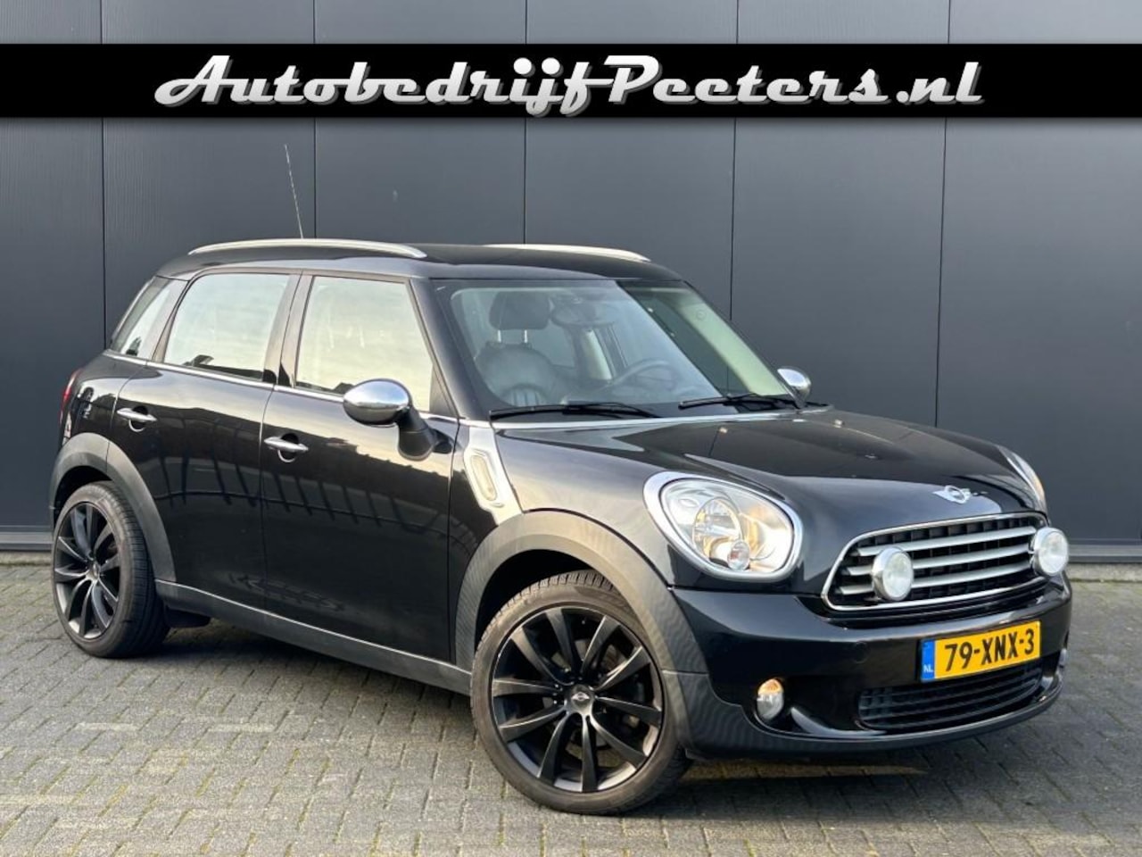 MINI Countryman - 1.6 Cooper Chili Leder Navi Cruise 4-Seizoensbanden - AutoWereld.nl