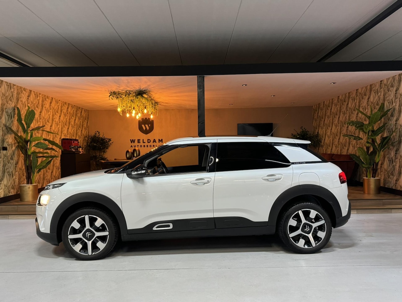 Citroën C4 Cactus - 1.2 PureTech Shine Garantie NAP Trekhaak Pano StoelVW Carplay Camera Cruise Clima Navi PDC - AutoWereld.nl
