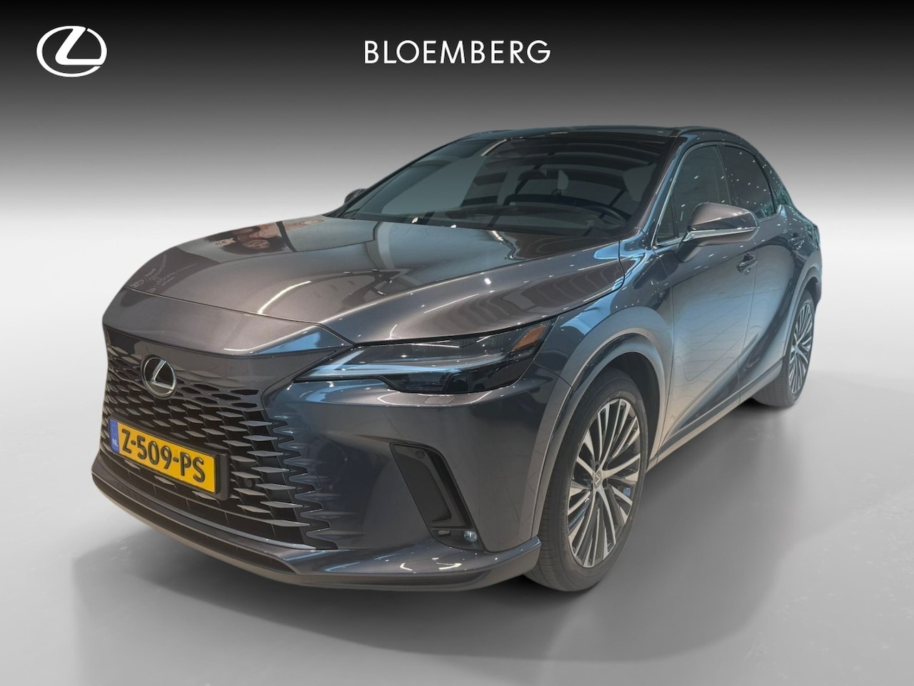 Lexus RX 450h - 450h+ Plug-in Hybrid Luxury Line | volleder | Stoelen verwarmd en geventileerd | bluetooth - AutoWereld.nl