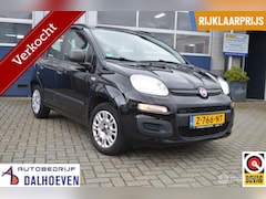 Fiat Panda - 1.2 Edizione Cool
