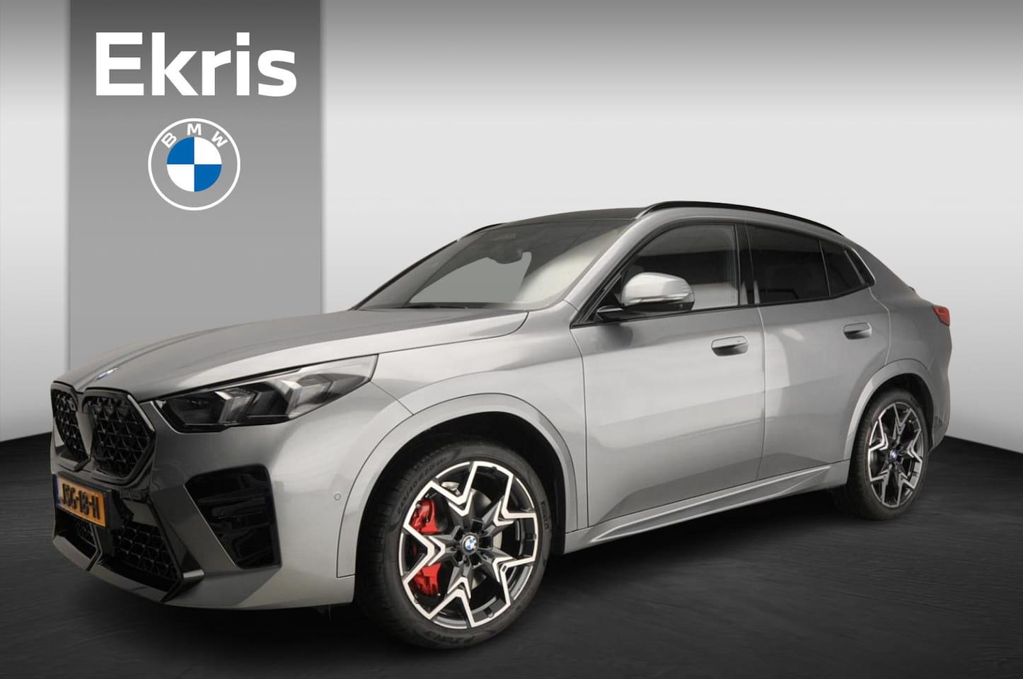 BMW X2 - sDrive 20i M Sport package Pro / Equipment package Professional / Comfort Pack / Panoramad - AutoWereld.nl