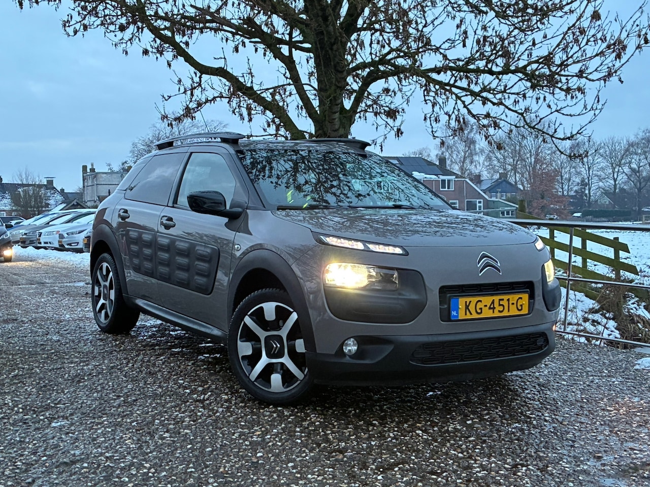 Citroën C4 Cactus - 1.2 PureTech Shine | Cruise + Clima nu € 6.750,-!!! - AutoWereld.nl