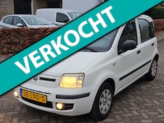 Fiat Panda - 1.2 Active