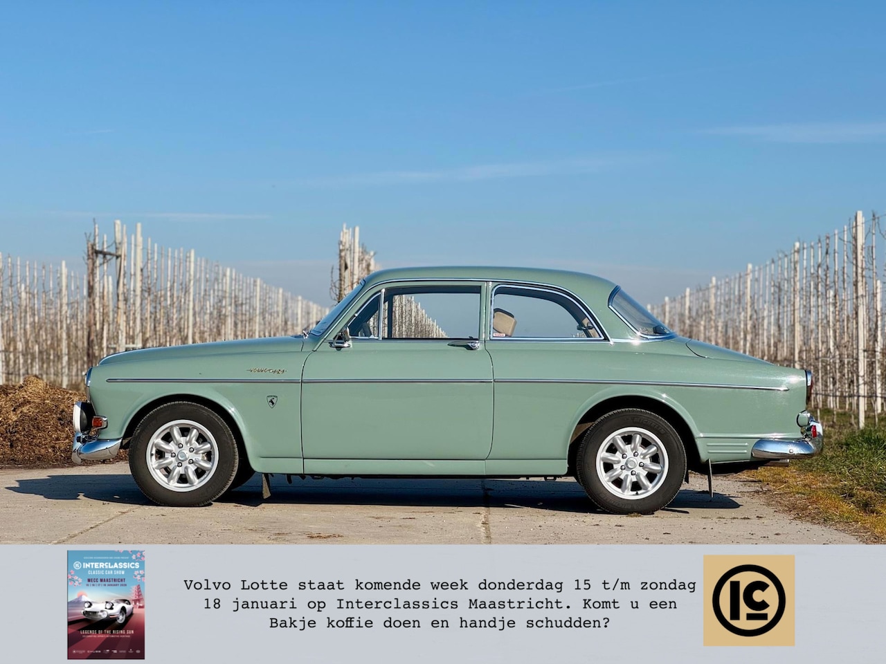 Volvo Amazon - B20, zeldzame kleur, rally klaar, rittensport, technisch top - AutoWereld.nl