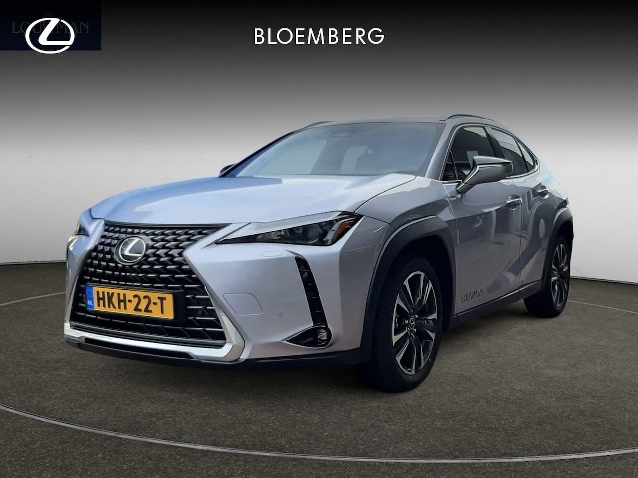Lexus UX - 300h Business Line | Navigatie | Carplay | ECC | Cruisecontrol | - AutoWereld.nl
