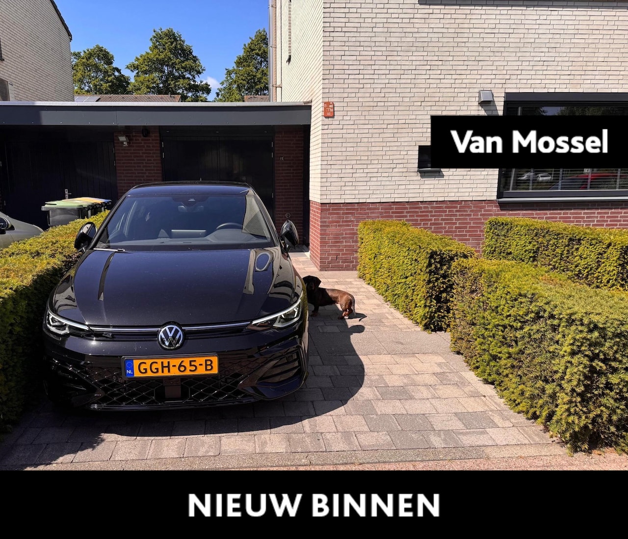 Volkswagen Golf - 1.5 eTSI R-Line Edition 116 PK | Origineel Nederlands | Eerste Eigenaar | LED Matrix | Nav - AutoWereld.nl