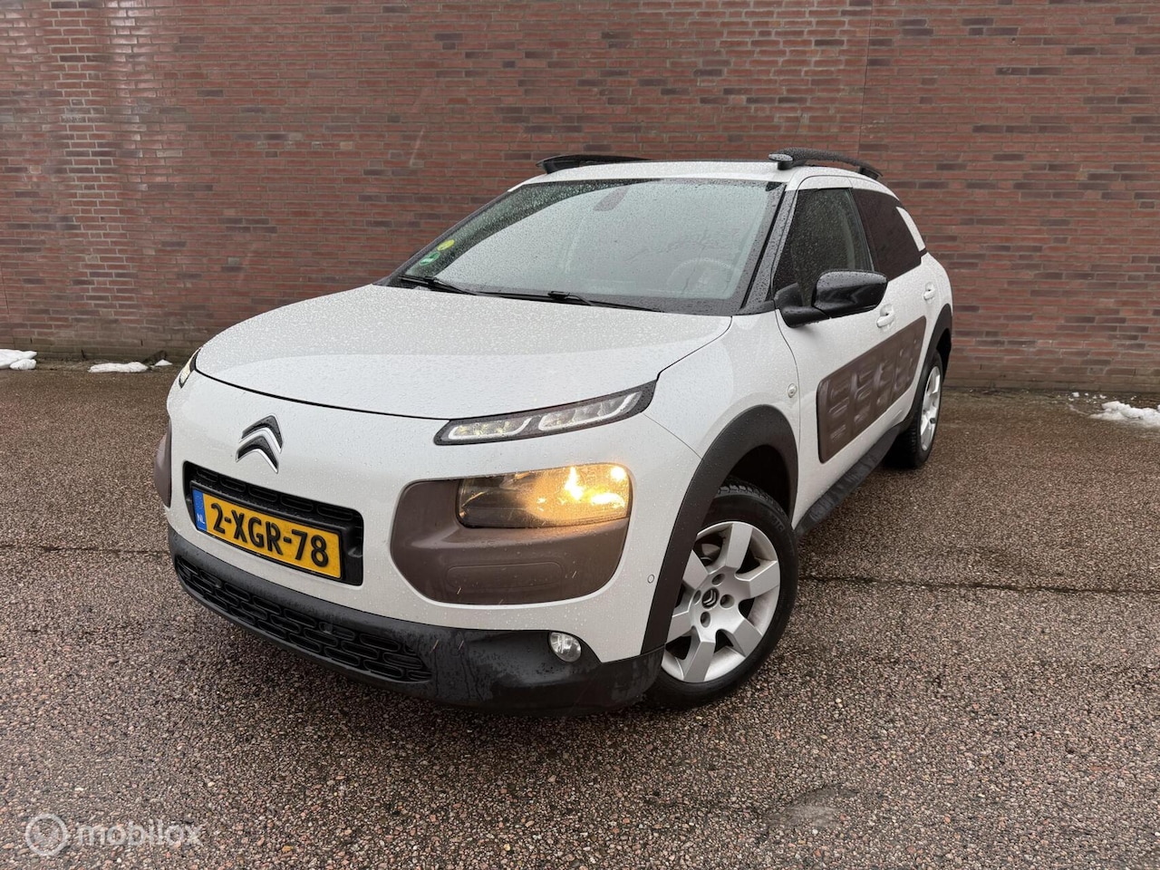 Citroën C4 Cactus - 1.6 BlueHDi Feel|Pano |Camera |Trekhaak - AutoWereld.nl