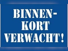 Ford Focus Wagon - 1.0 Ecoboost Connected, 12 mnd Bovag garantie