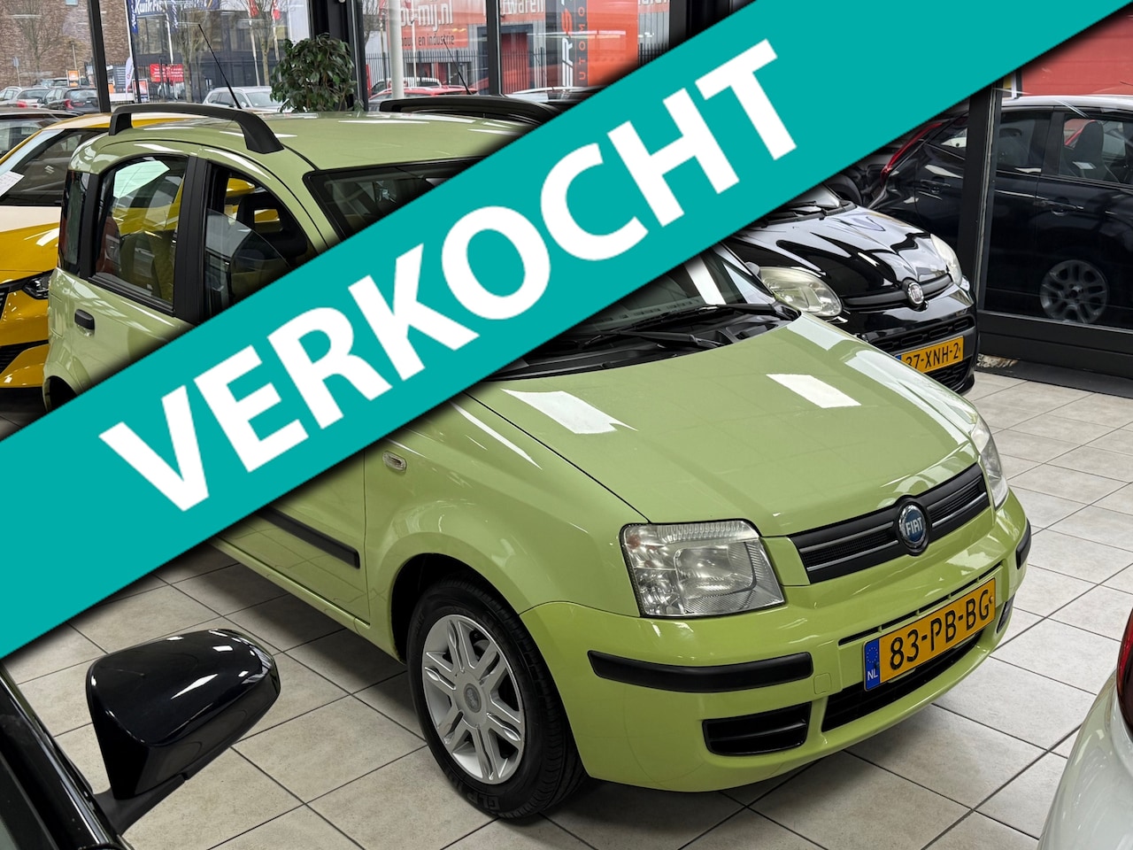 Fiat Panda - 1.2 Dynamic - Verde Guacamole - Knettergekke kleur = Superleuk - Keurig ook - AutoWereld.nl