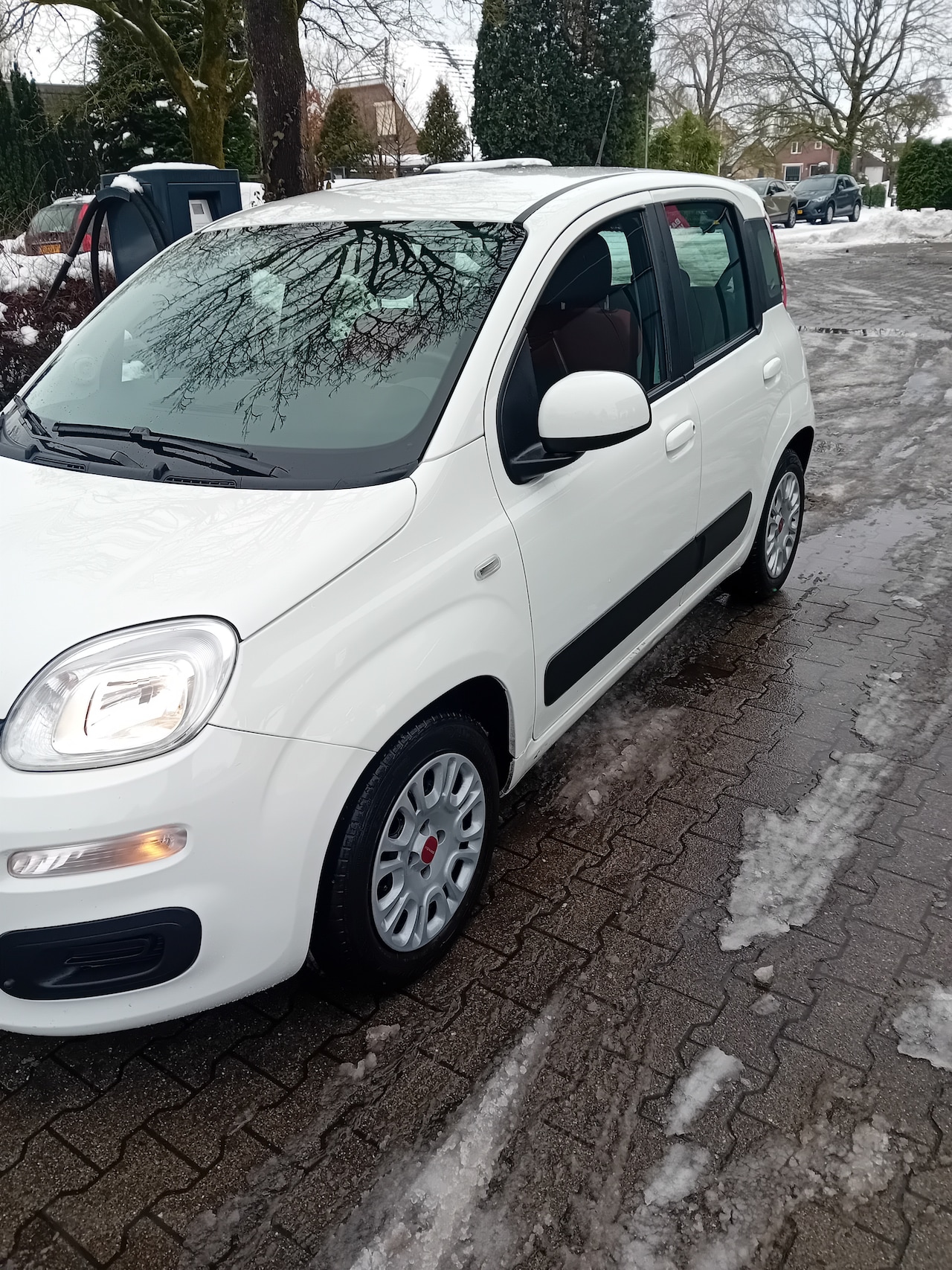 Fiat Panda - 1.2 Edizione Cool - AutoWereld.nl