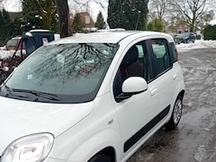 Fiat Panda - 1.2 Edizione Cool