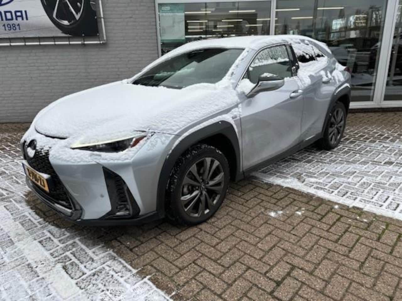 Lexus UX - 250h F Sport Design Bi Tone | Apple Car Play | Leder - AutoWereld.nl