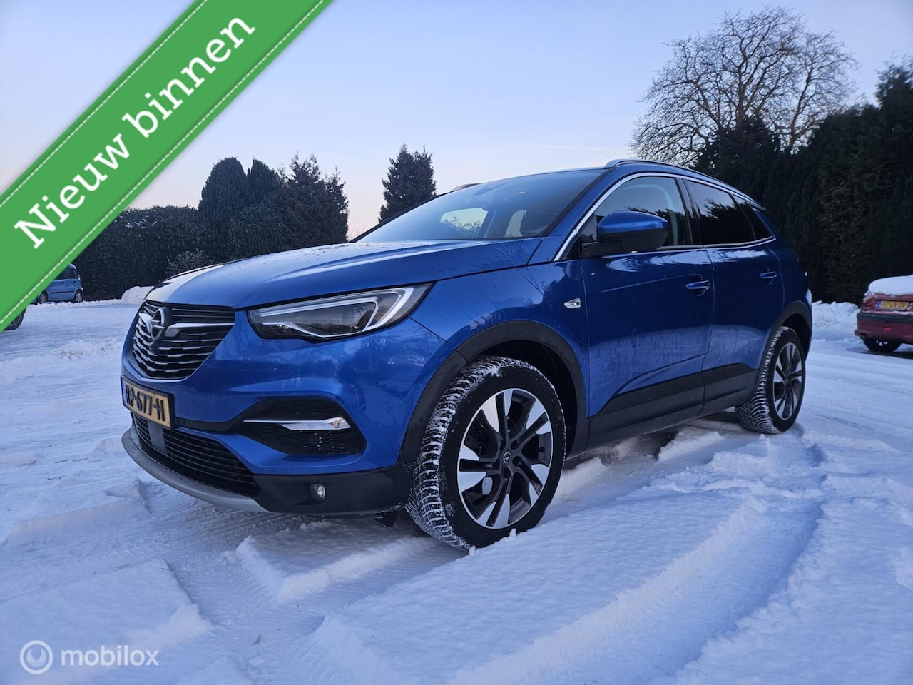 Opel Grandland X - 1.2 Turbo Business Executive 1.2 Turbo Business Executive, - AutoWereld.nl
