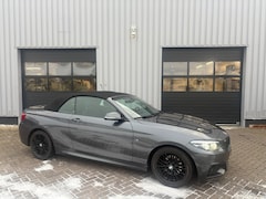 BMW 2-Serie - 220I High Executive M-sport I Alcantara I Navi