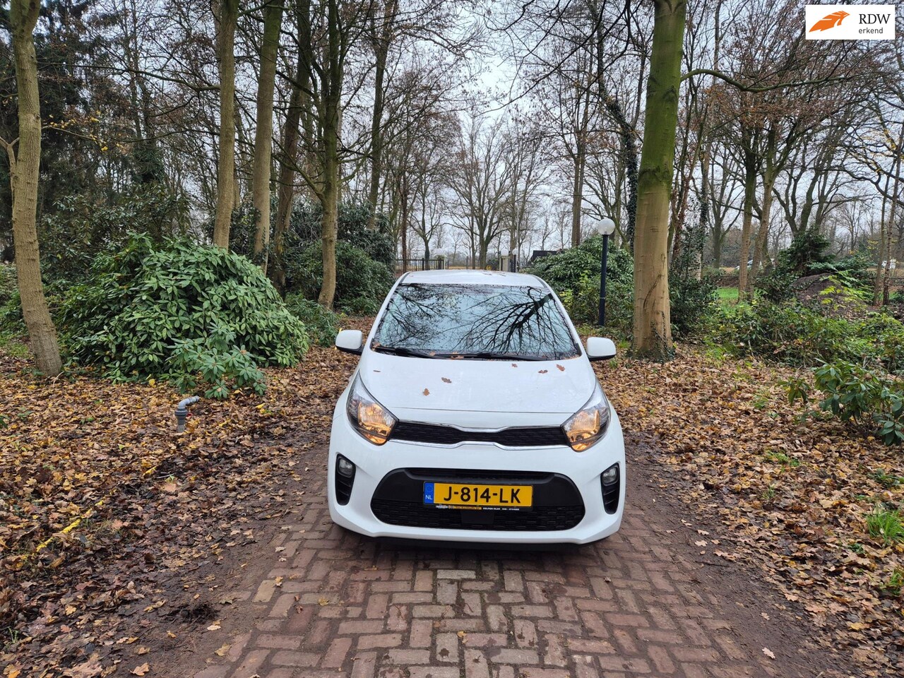 Kia Picanto - 1.0 DPi ComfortLine 5p 1.0 DPi ComfortLine 5p - AutoWereld.nl