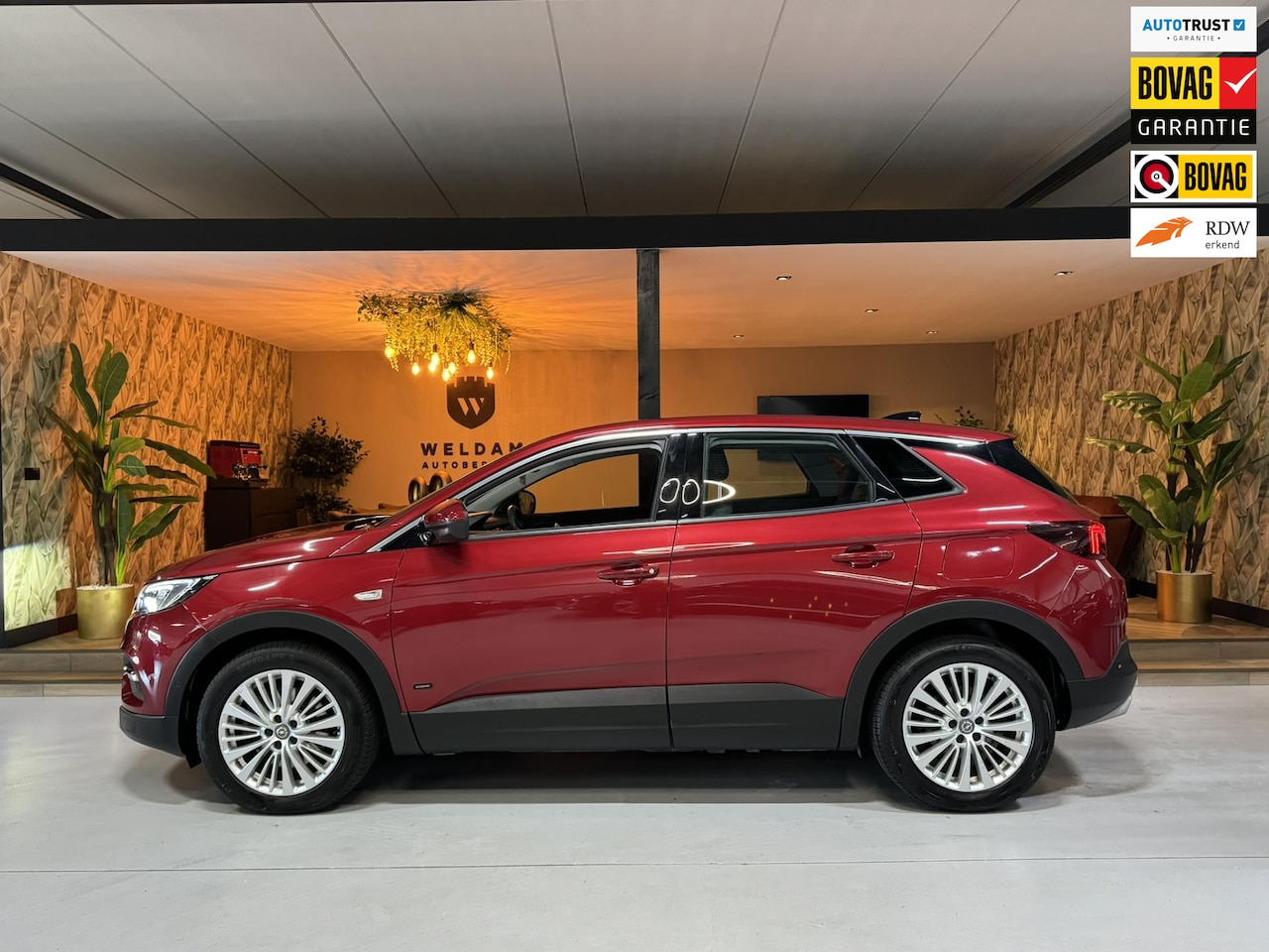 Opel Grandland X - 1.6 Turbo Hybrid4 Innovation Garantie Camera Elek Achterklep Carplay Blindspot Cruise Clim - AutoWereld.nl