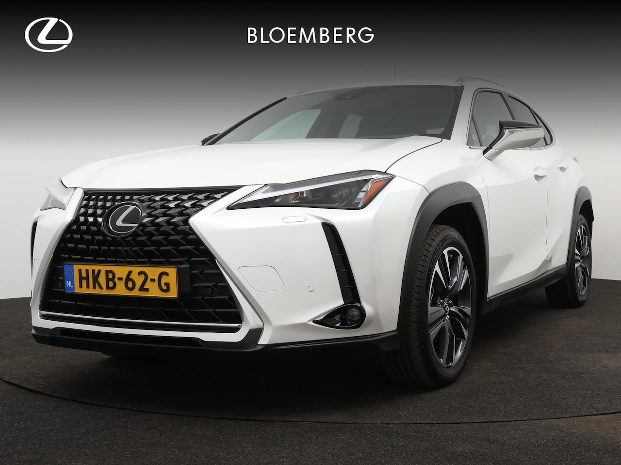 Lexus UX - 250h Business Line | Blind Spot Monitor | Leder | Stuur en stoel verwarming | - AutoWereld.nl