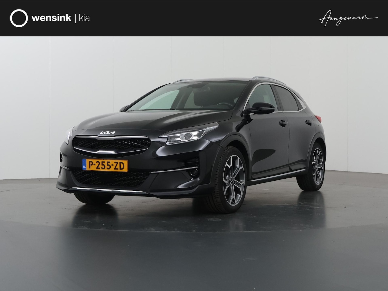 Kia XCeed - 1.5 T-GDI MHEV DynamicPlusLine | Stoel/Stuurwielverwarming | Dodehoek Detectie  | Keyless - AutoWereld.nl