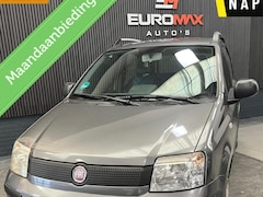 Fiat Panda - 1.2 Edizione Cool. NAP / APK sept.2026