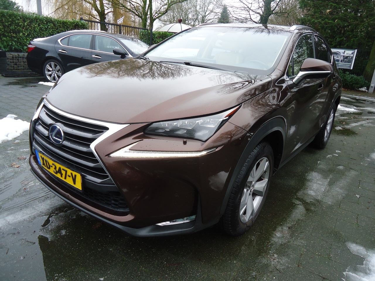 Lexus NX - 300h AWD Luxury Line - AutoWereld.nl