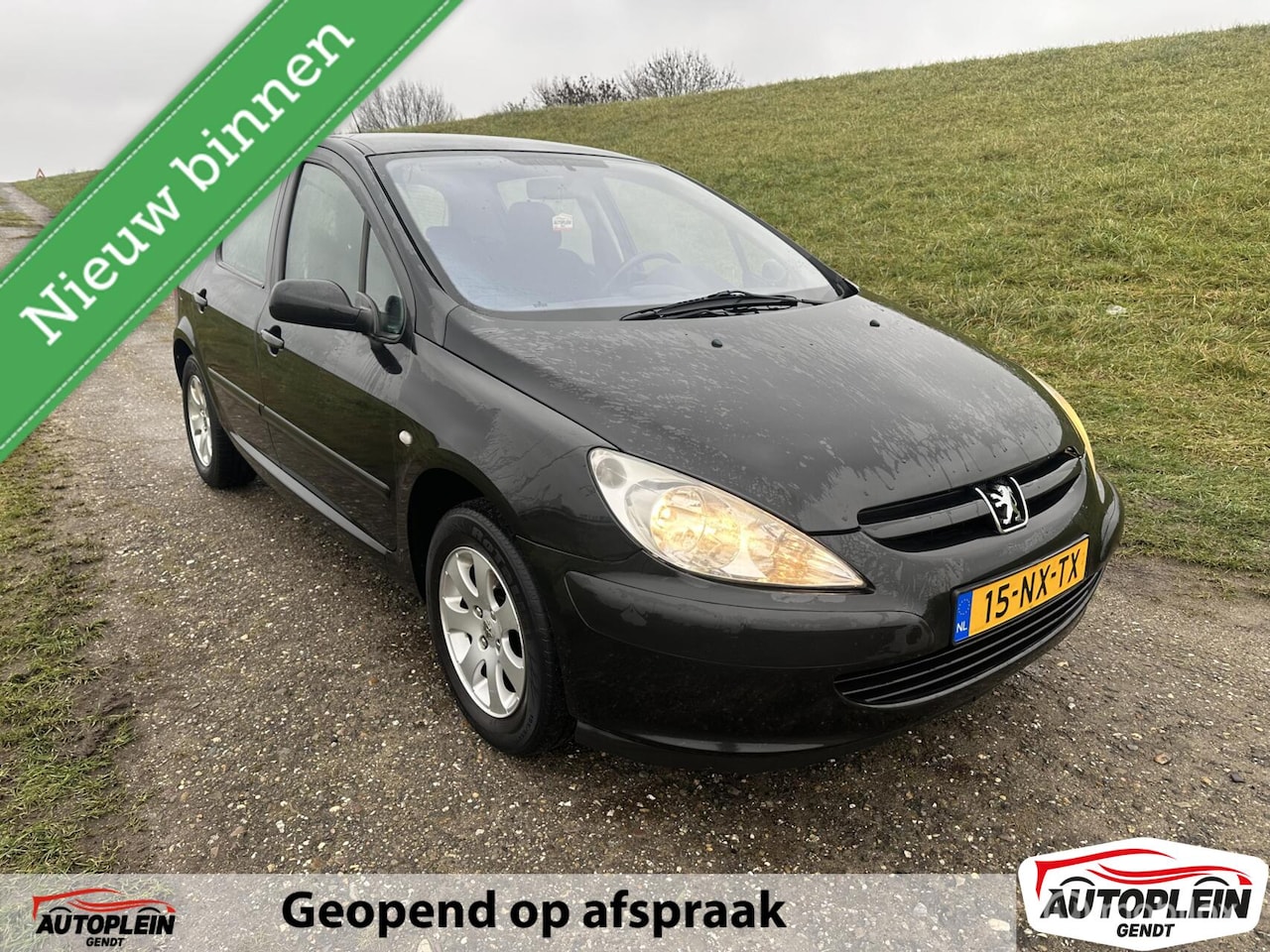 Peugeot 307 - 1.4-16V XS Pack Nieuwe apk + Distributieriem! - AutoWereld.nl