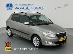 Skoda Fabia - 1.2 TSI DSG AUTOMAAT TOPSTAAT