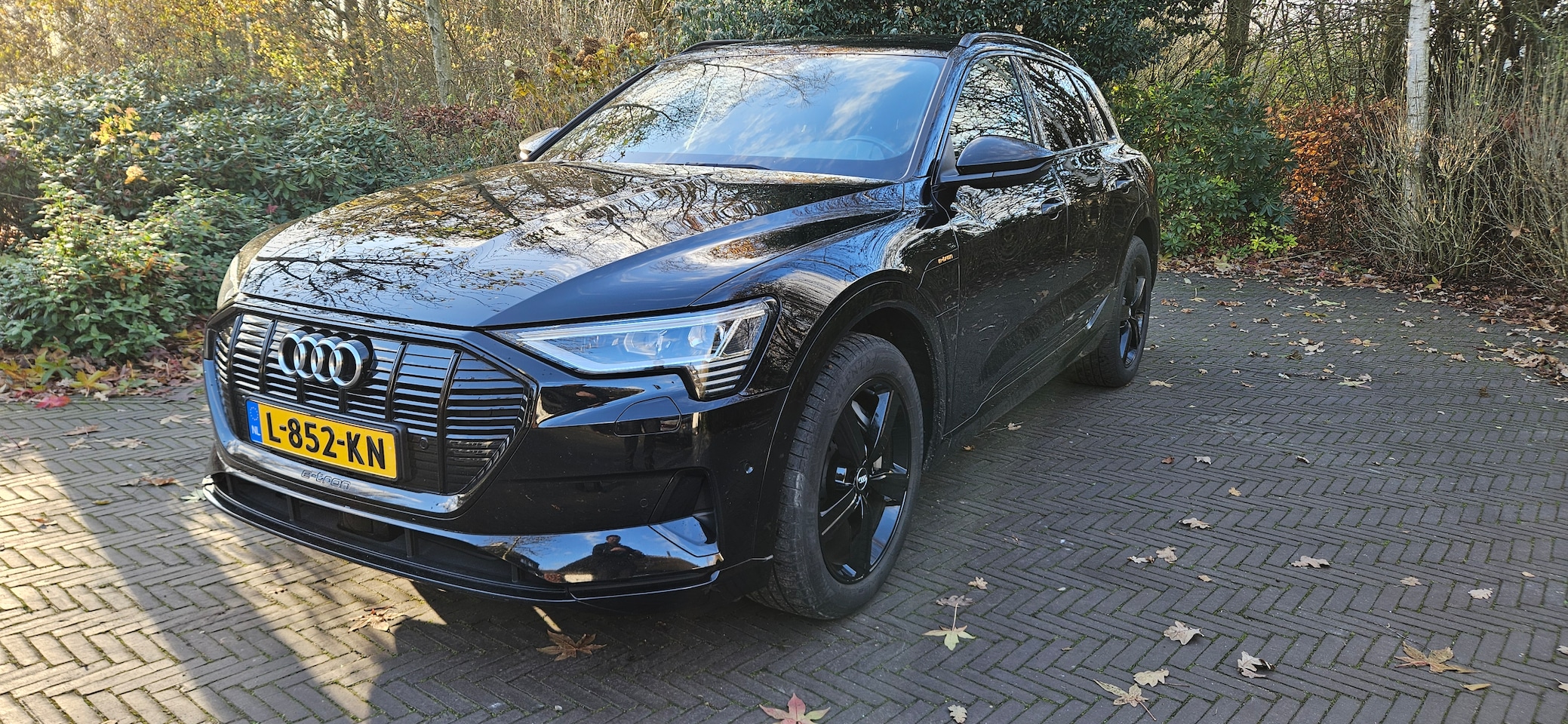 Audi e-tron - e-tron Pro Line Plus - AutoWereld.nl