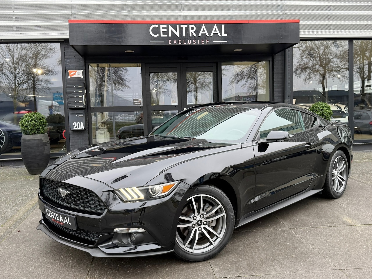 Ford Mustang Fastback - 2.3 EcoBoost 310PK|Stoelkoeling/Verwarming|Navi|PDC|Android-auto - AutoWereld.nl