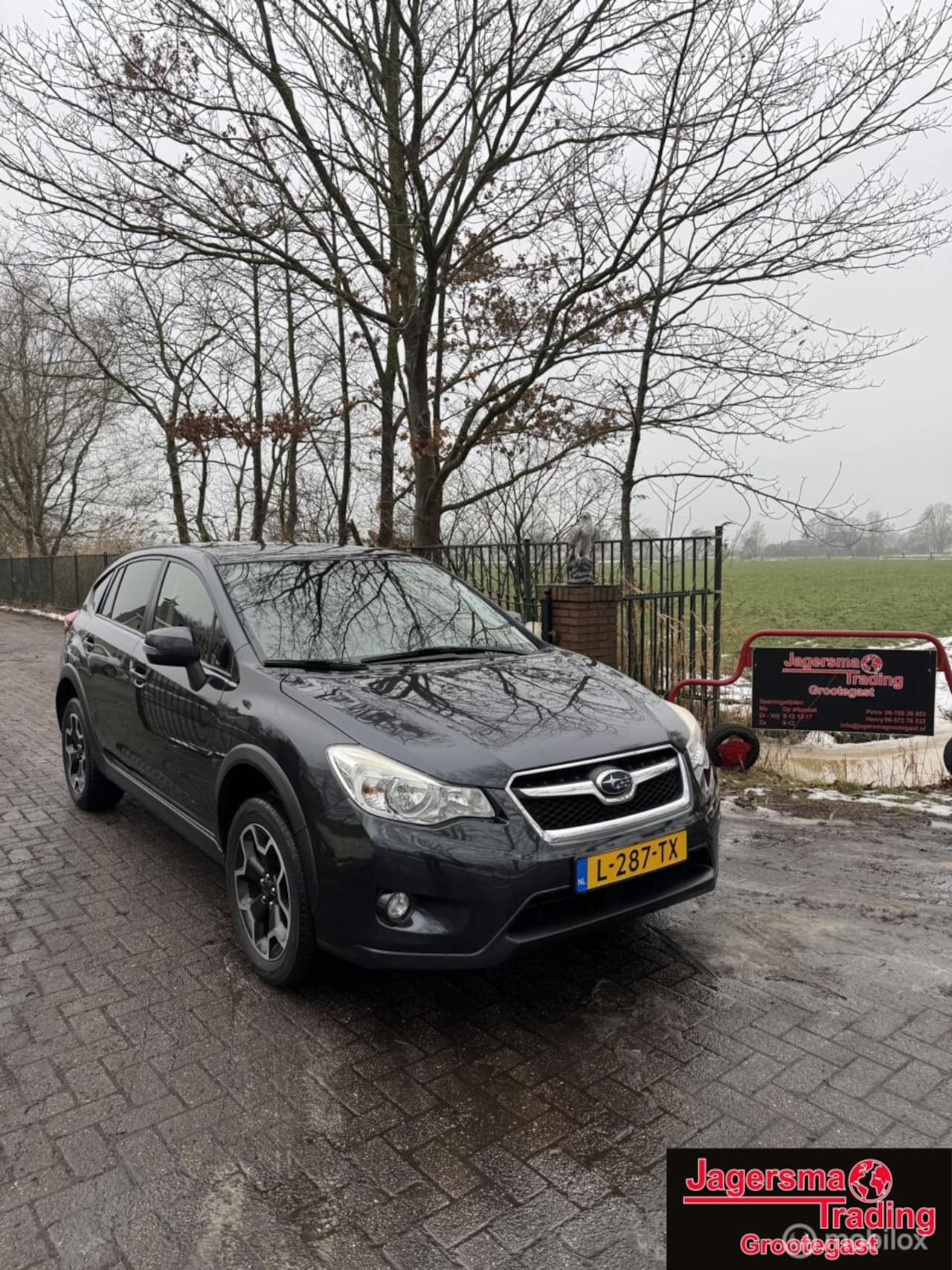 Subaru XV - 2.0i Executive AWD | Handgeschakeld - AutoWereld.nl