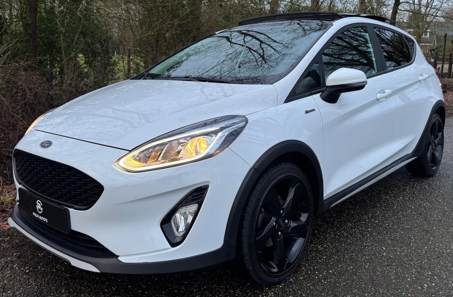 Ford Fiesta - 1.0 EcoBoost Active 2018 PANO CARPLAY CRUISE CLIMA ERG MOOIE AUTO - AutoWereld.nl