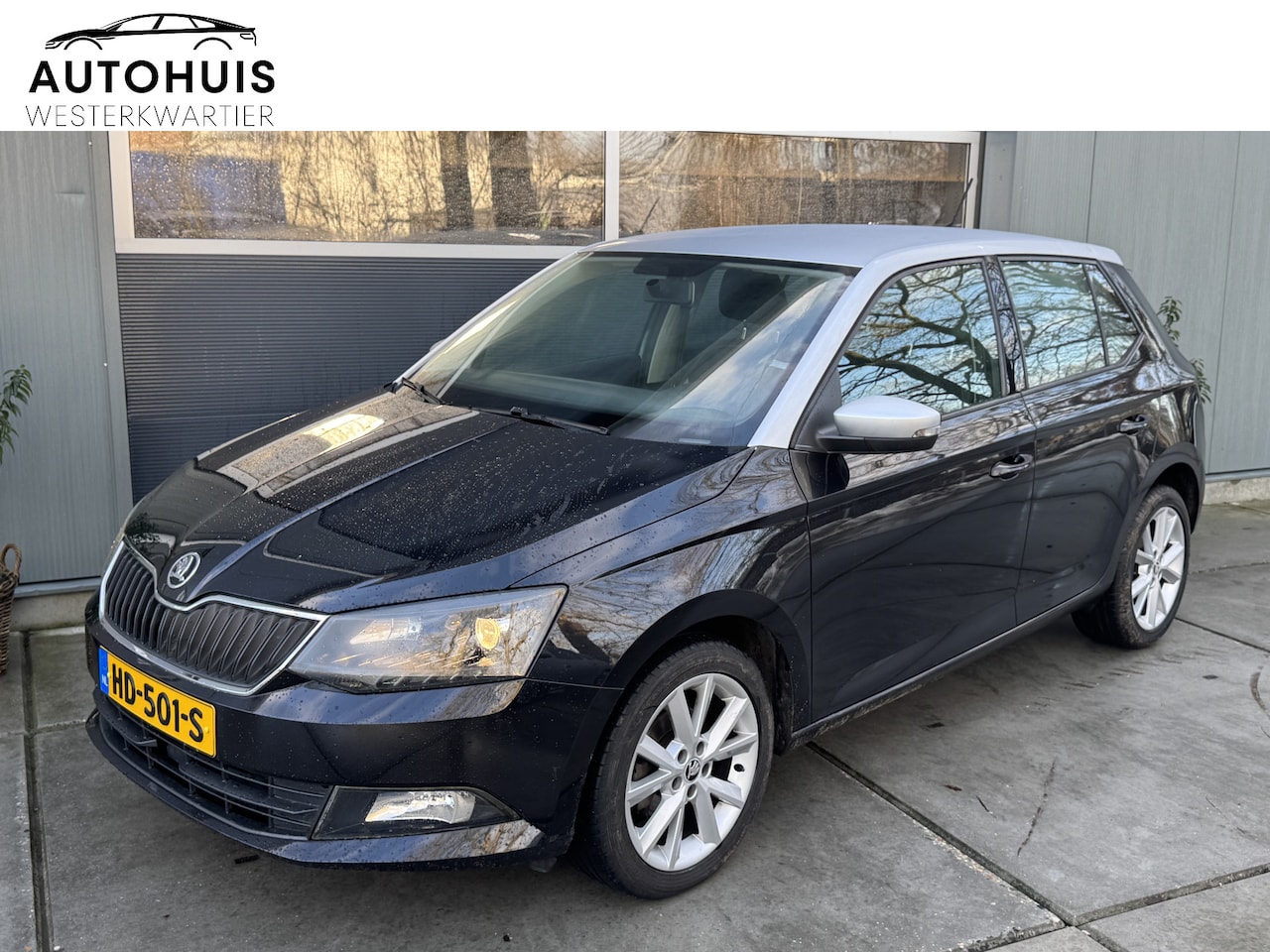 Skoda Fabia - 1.2 TSI 90pk Ambition PDC Airco LMV DAB - AutoWereld.nl
