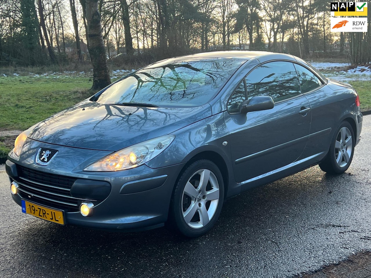 Peugeot 307 CC - 2.0-16V Palm Beach LEER NAVI 2008 ORG NED - AutoWereld.nl