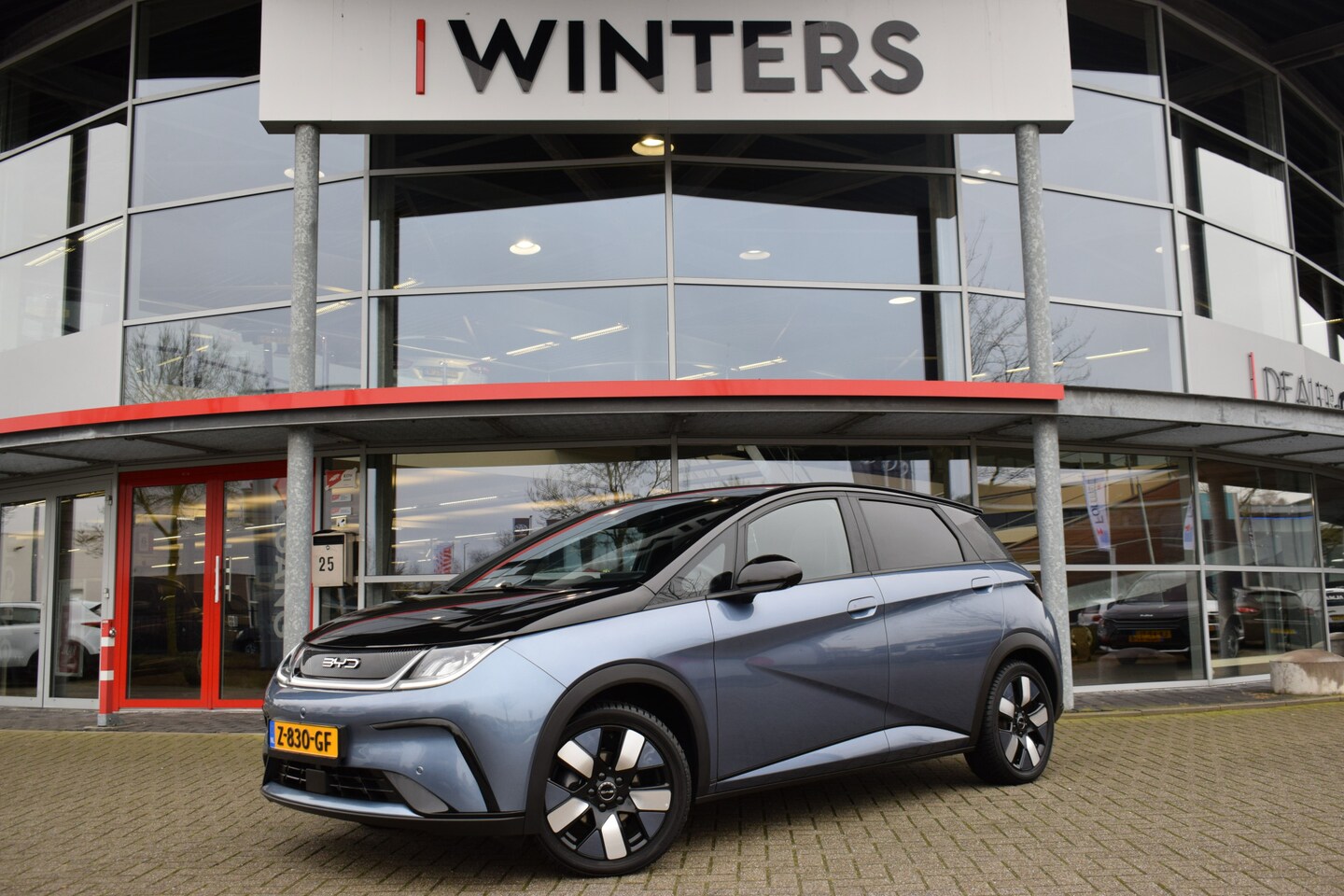 BYD Dolphin - Design 60.4 kWh | Panorama dak | Cruise Control | Keyless Entry + Start | 360° camera | 6j - AutoWereld.nl