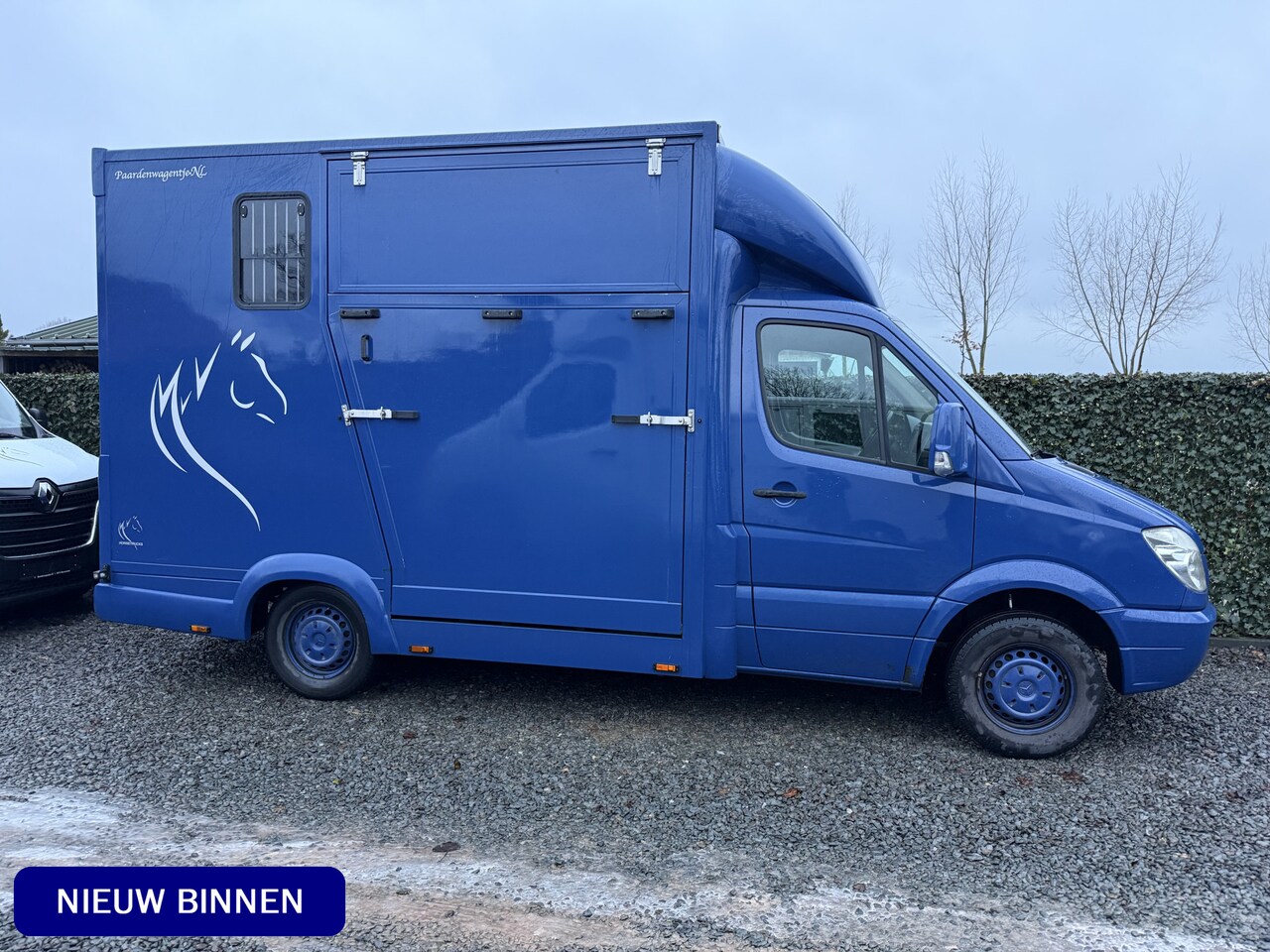 Mercedes-Benz Sprinter - PAARDENWAGEN | HORSETRUCK | TVW 3XL | 2009 | CLASSIC | MANUEEL | 3-SEAT | 179.449KM | NL K - AutoWereld.nl