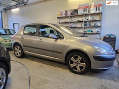 Peugeot 307 - 1.6-16V XS| inruil knaller