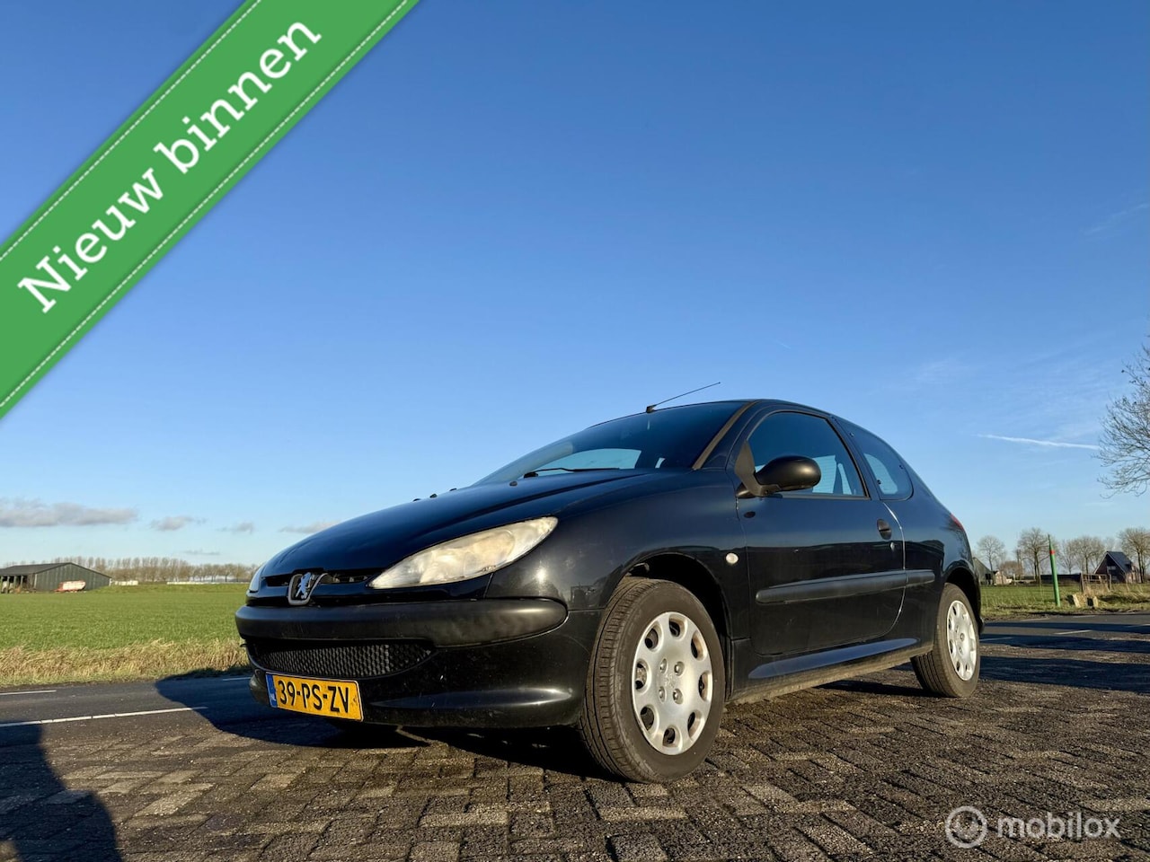 Peugeot 206 - 1.4 Air-line 1.4 Air-line, BJ 2004, APK Jan 2027, Airco - AutoWereld.nl